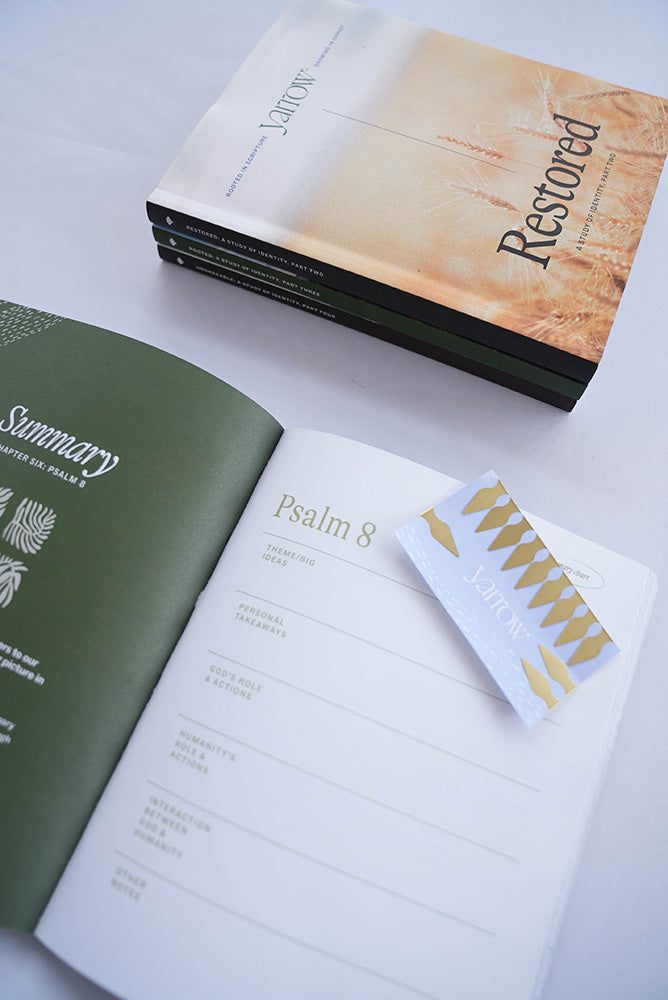 The four-part Identity Bible study series from Yarrow, opened to a page on Psalm 8 and shown with bonus book darts