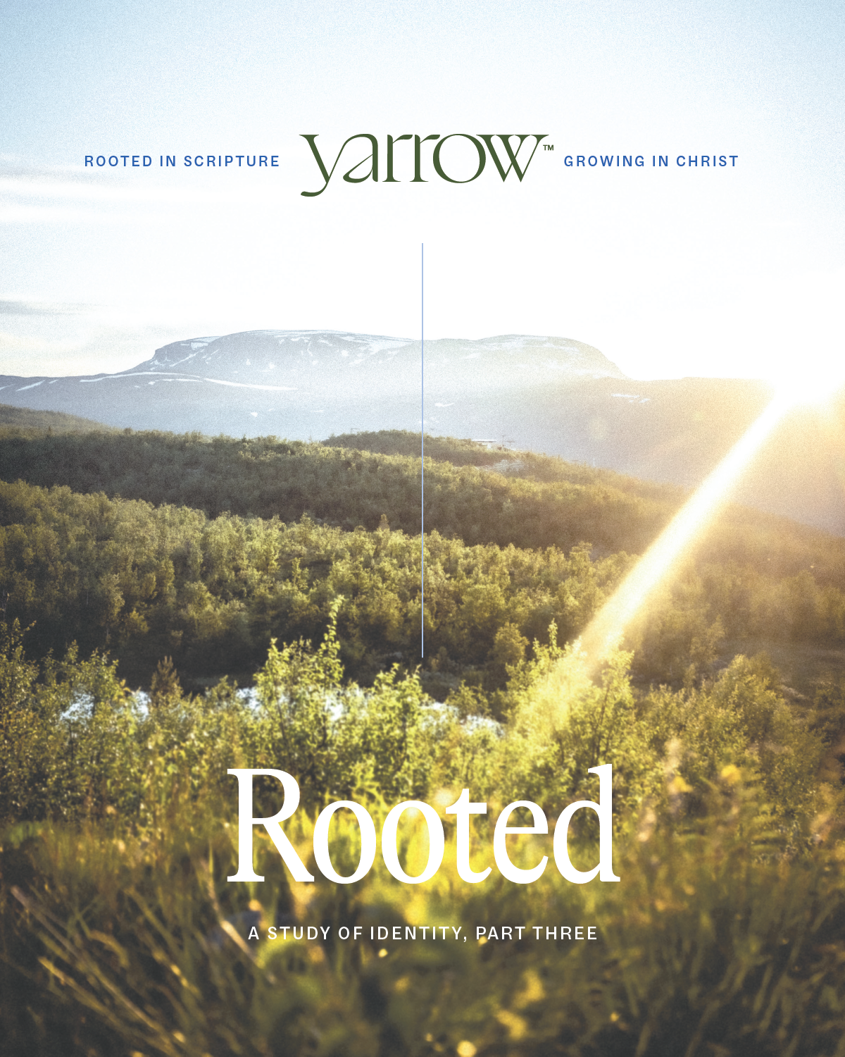 Rooted: A Study of Identity, Part Three